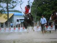 /album/galeria-de-fotos/pedro-henrique-080-jpg/
